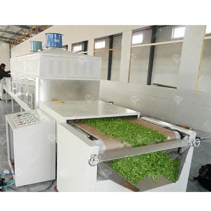 Everything you Need to Know About Industrial Green Tea Microwave Dryer Machine Shandong Loyal